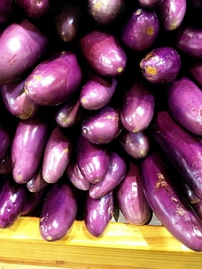 Chinese eggplant lilac