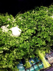 Parsley pile 