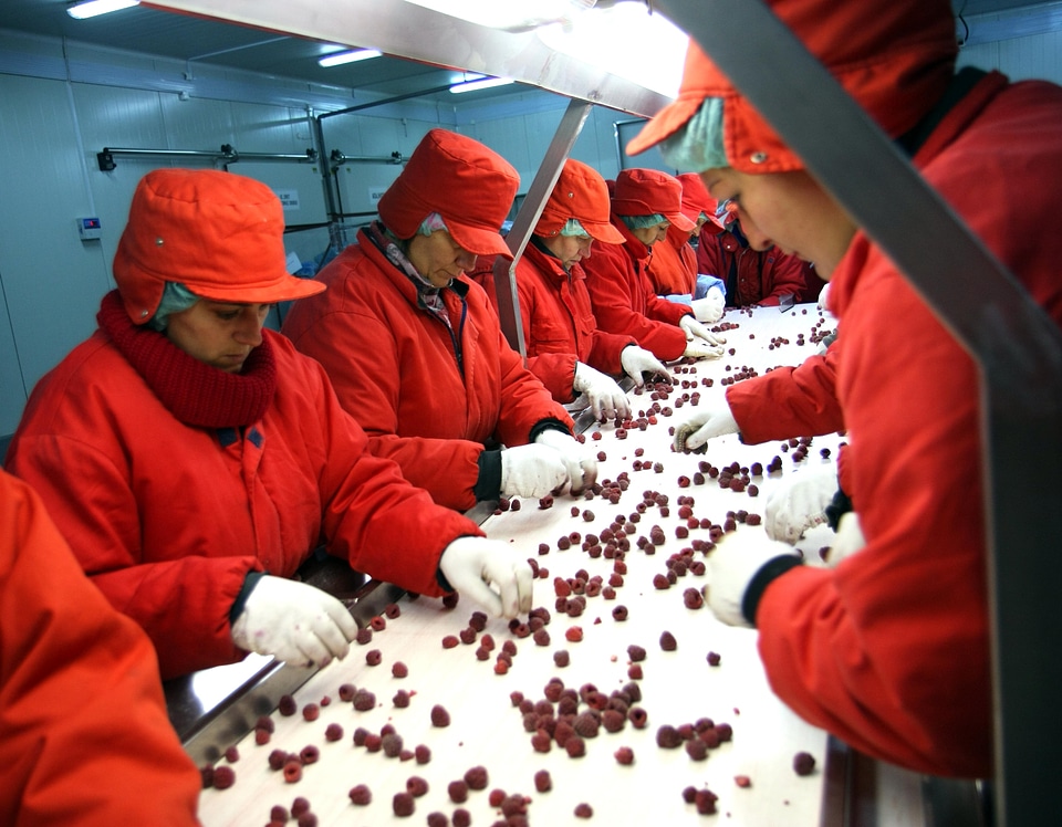 Company fruit woman