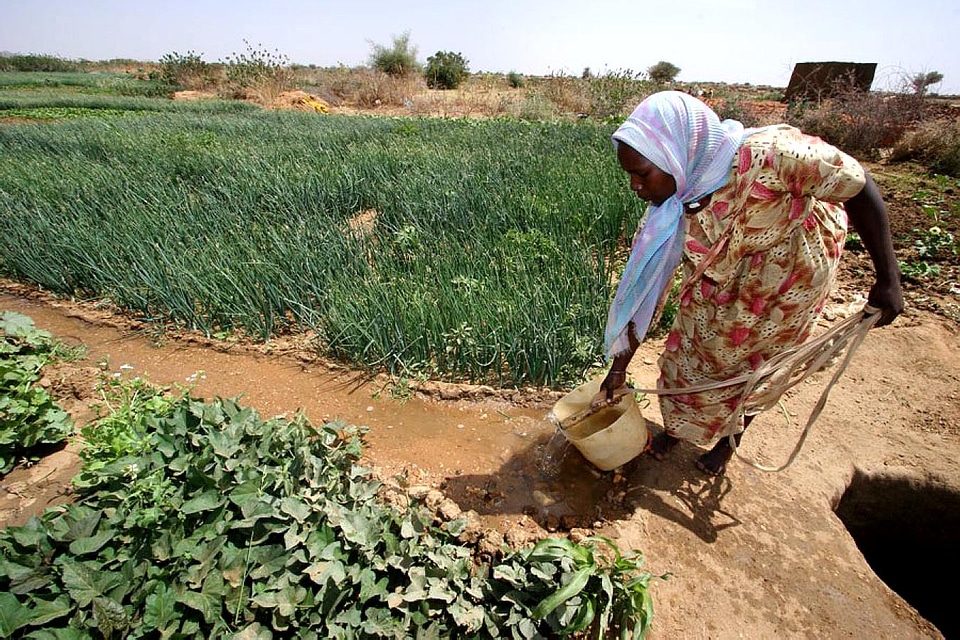 Bearing crops north