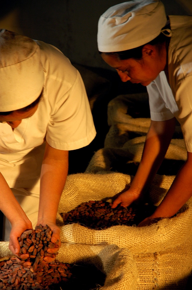 Beans Ecuador sorting