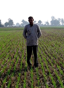 Farmer grain plant