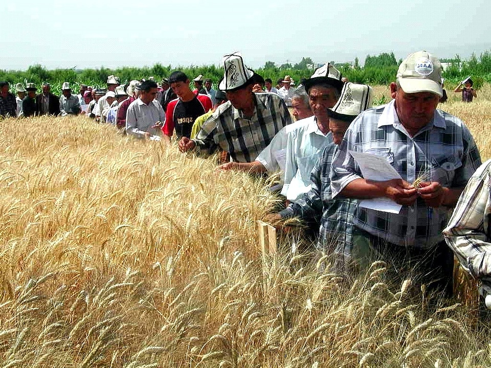 Agriculture amount farming