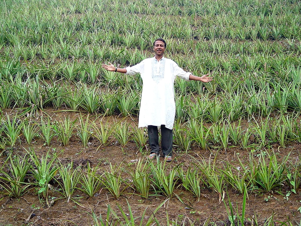 Bangladesh bearing hail