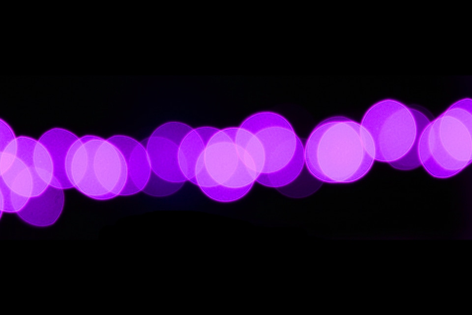 Purple isolated lights
