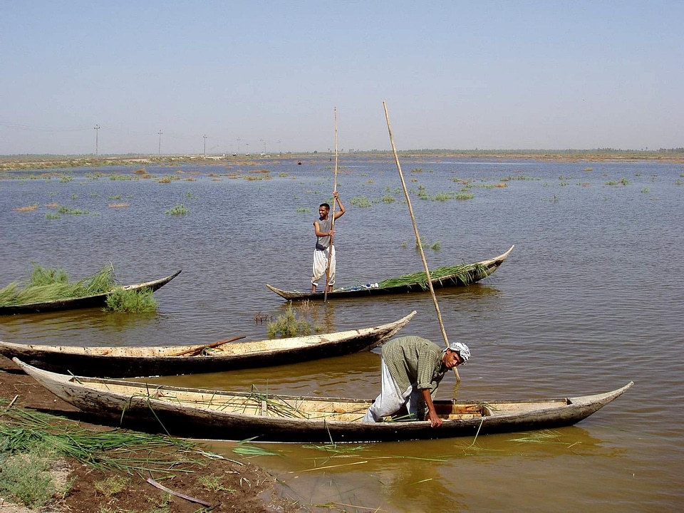 Boats marshlands 