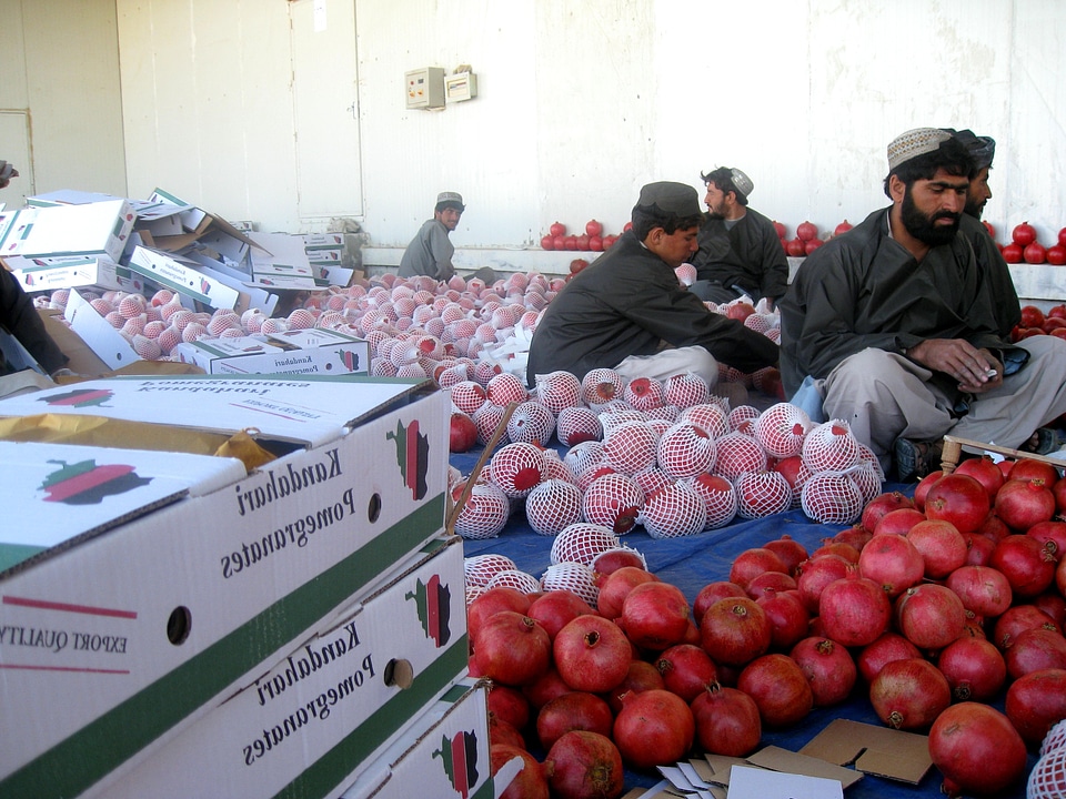 Local packaging sorting