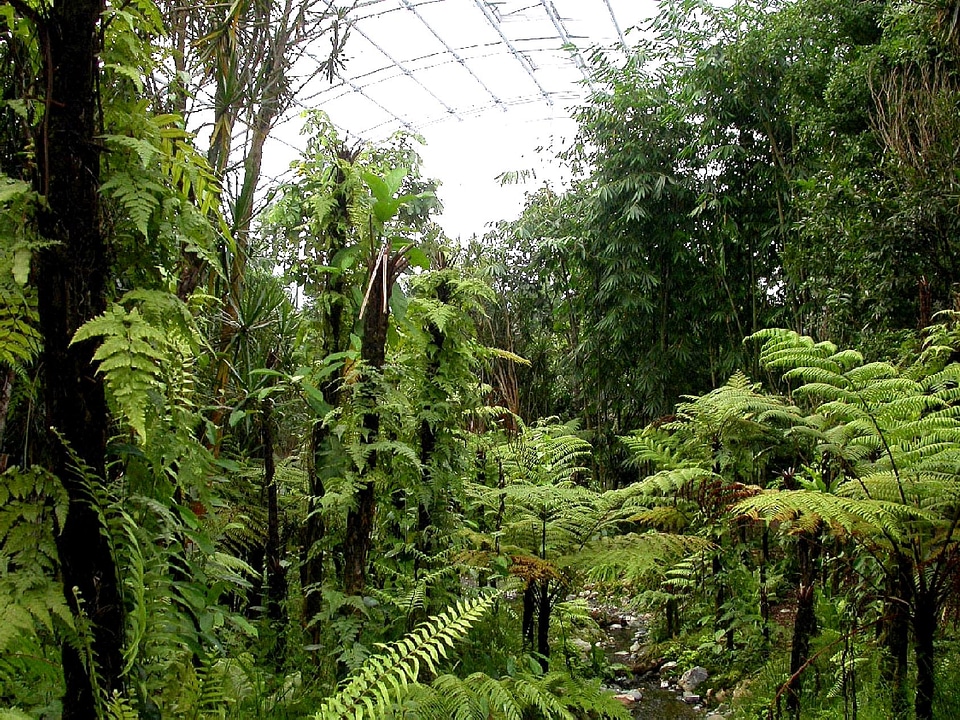 Biodiversity Madagascar 
