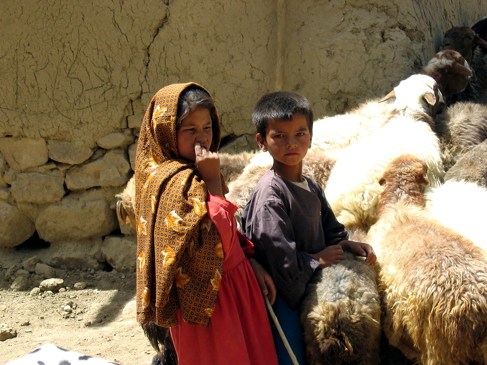 Afghanistan agriculture farm