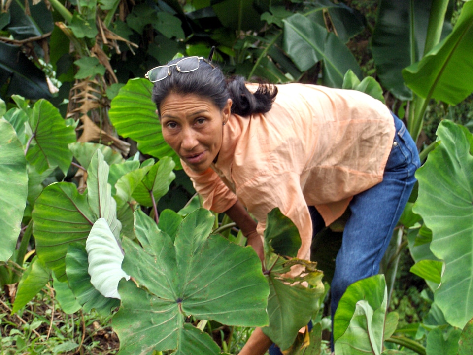 Farmer female rural