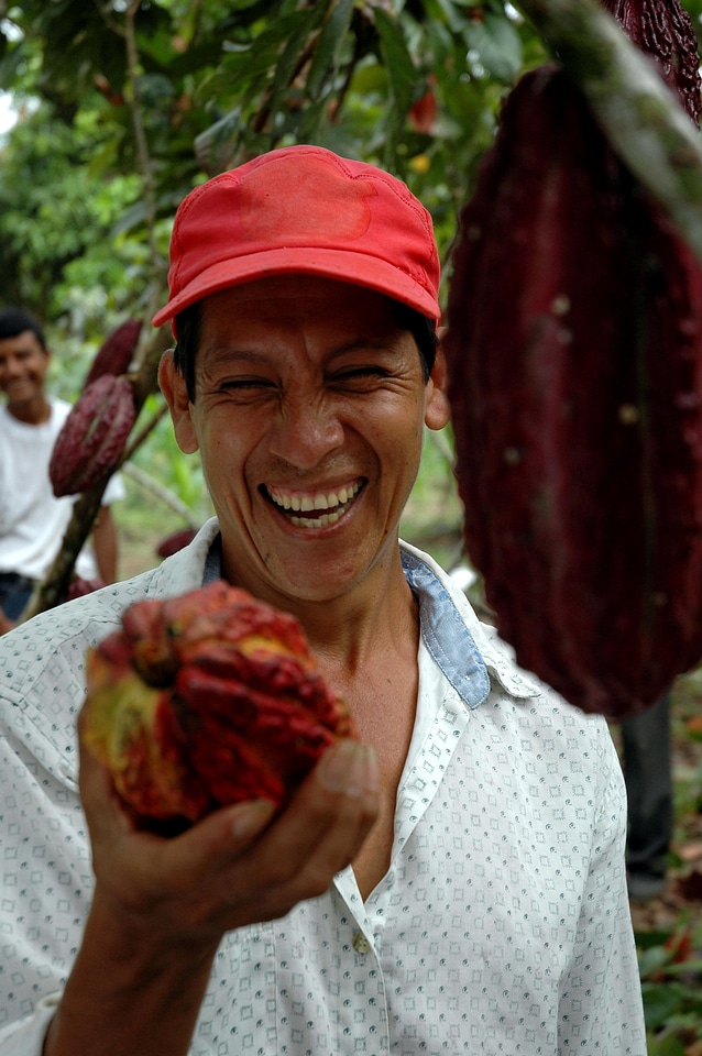 Bean cacao cacao bean