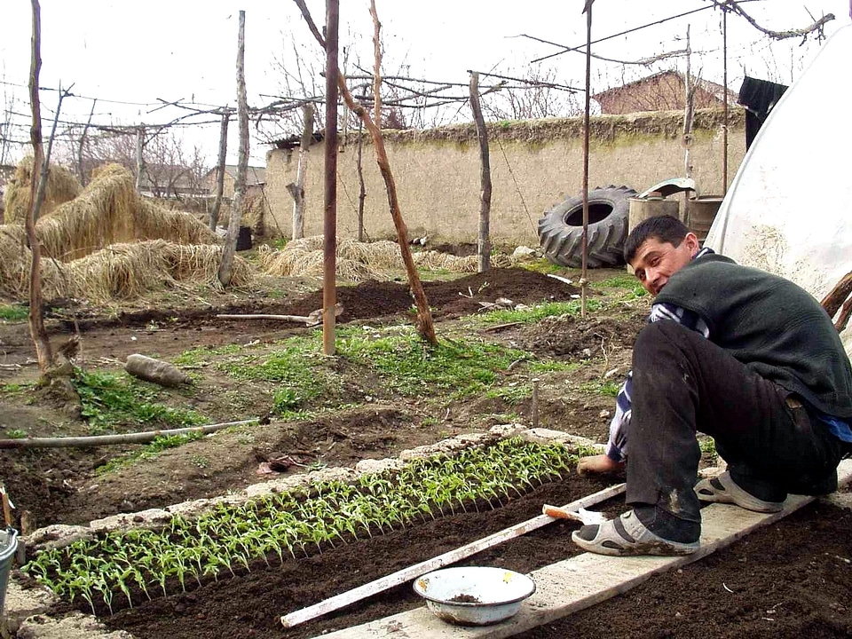 Crops development farmer