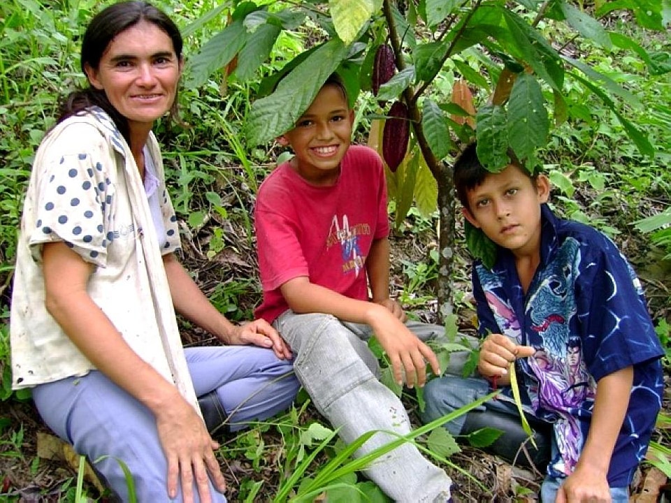 Cacao farmer plantation