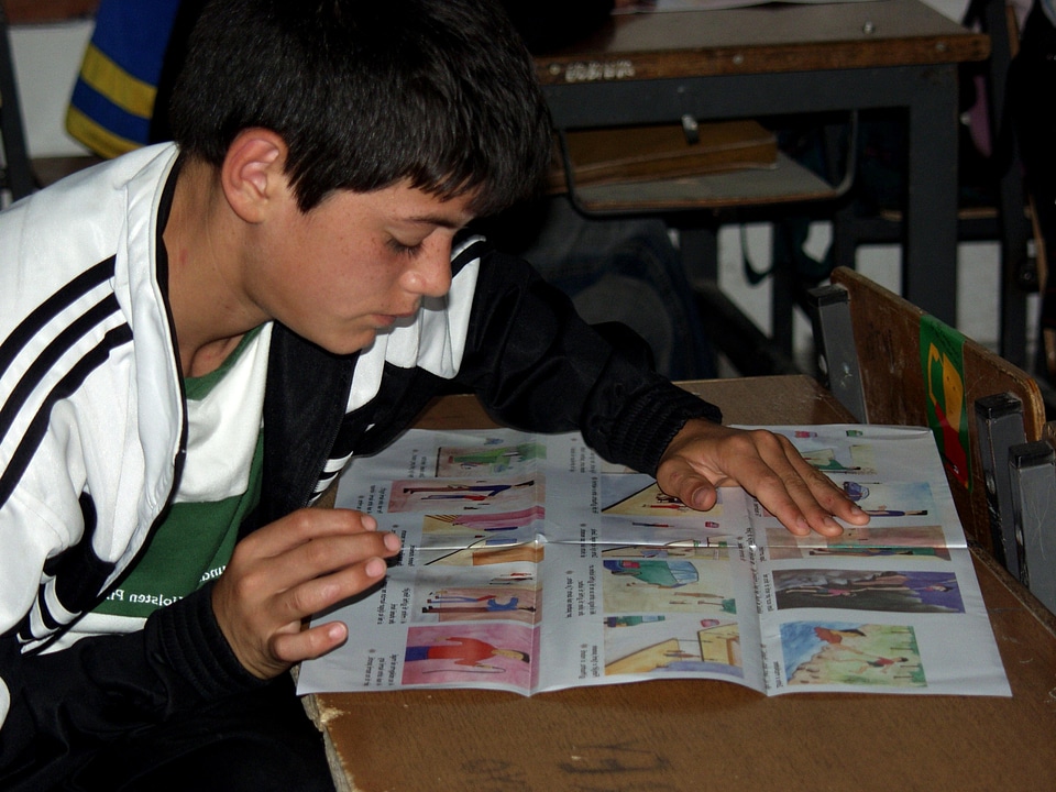 Brochure elementary school school