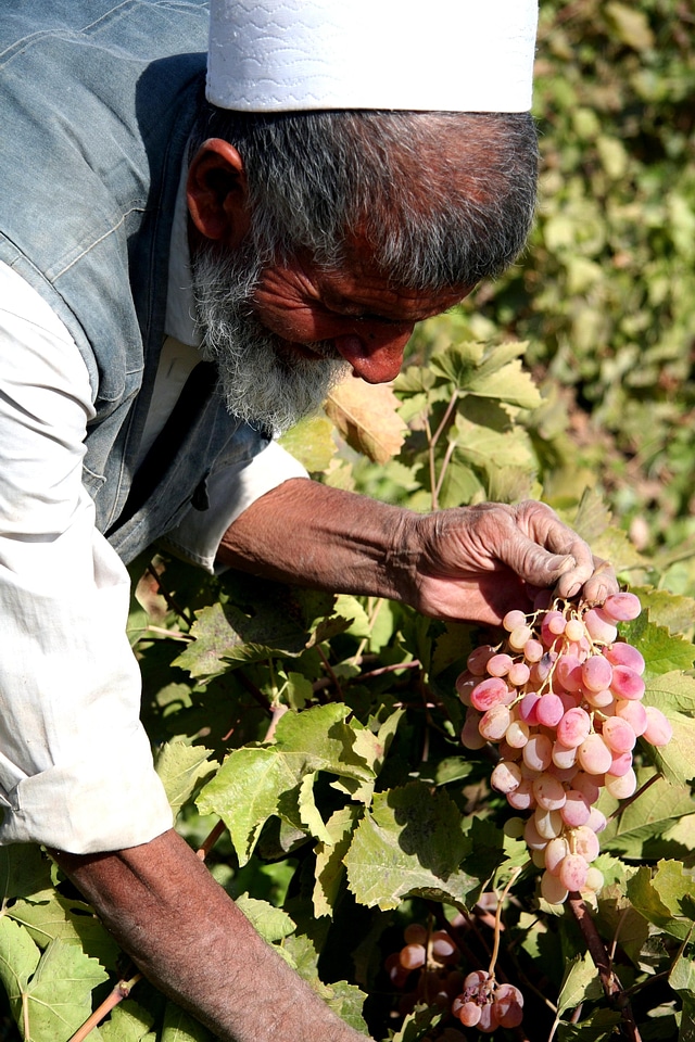 Access crops result