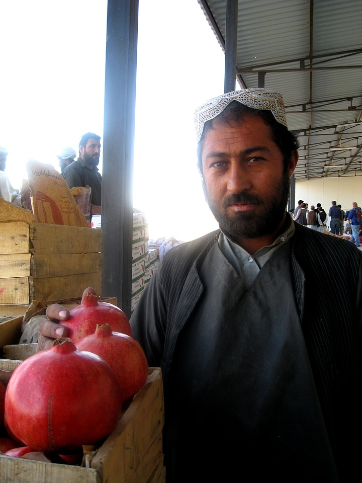 Afghanistan farmer pomegranate