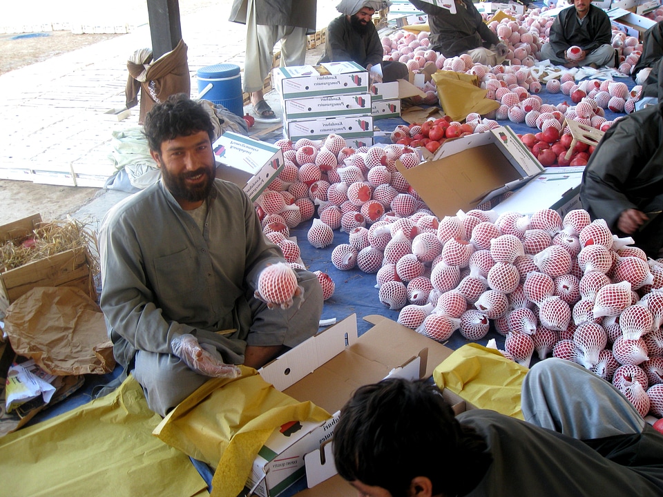 Afghanistan packaging sorting