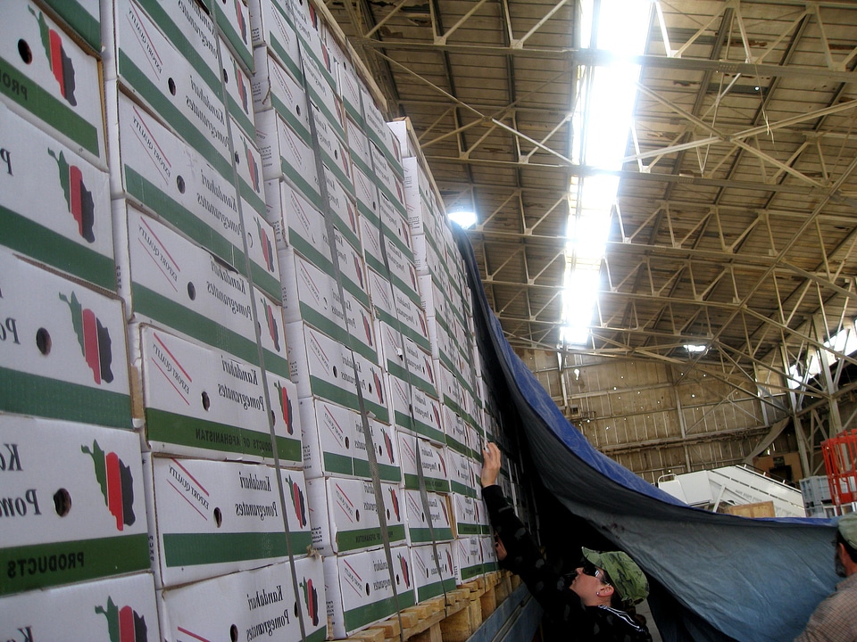 Afghanistan exporting 