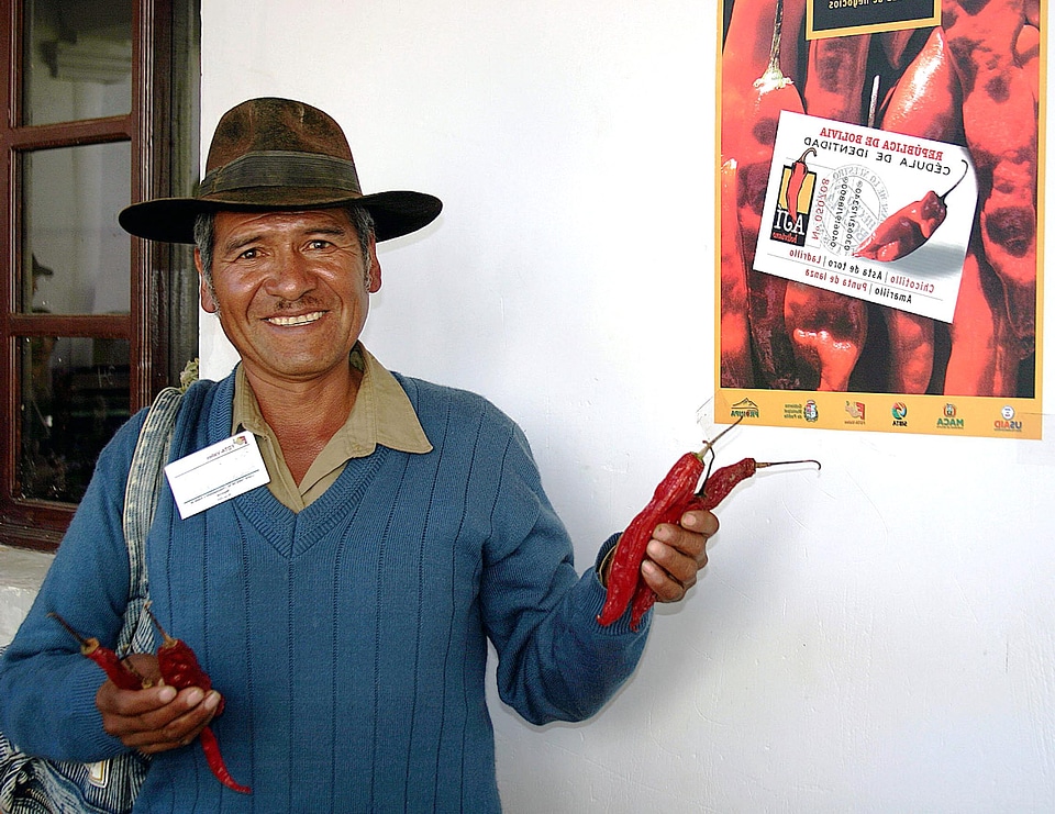 Bell Pepper chili farmer