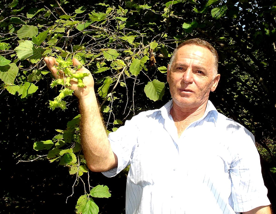 Farmer garden grandfather
