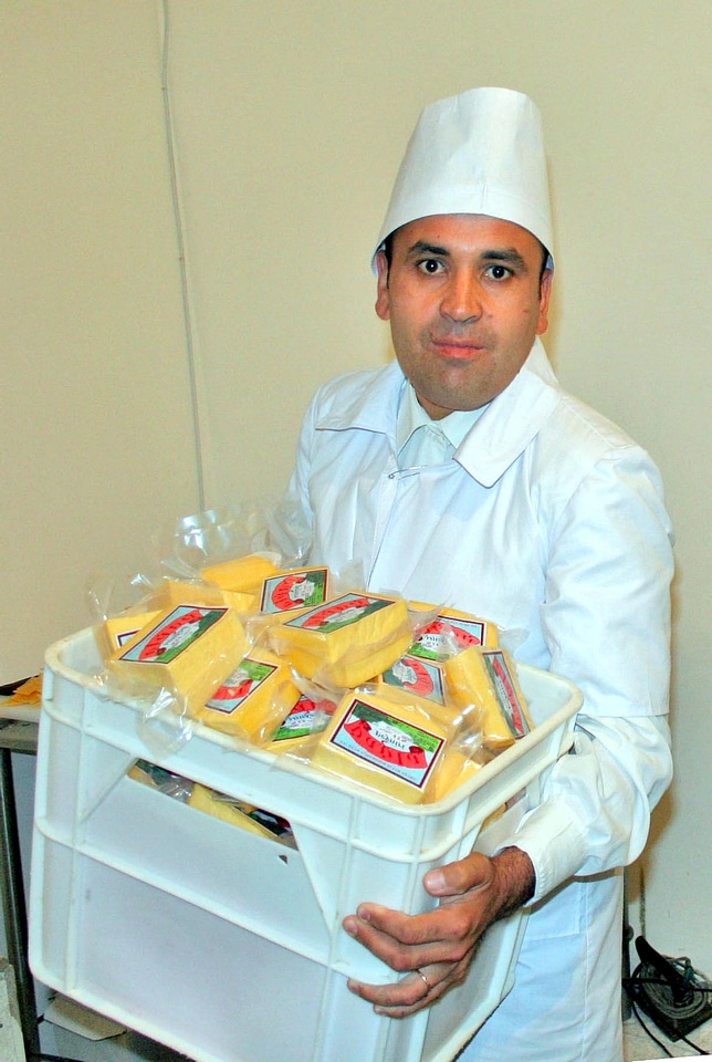 Cheese construction worker 