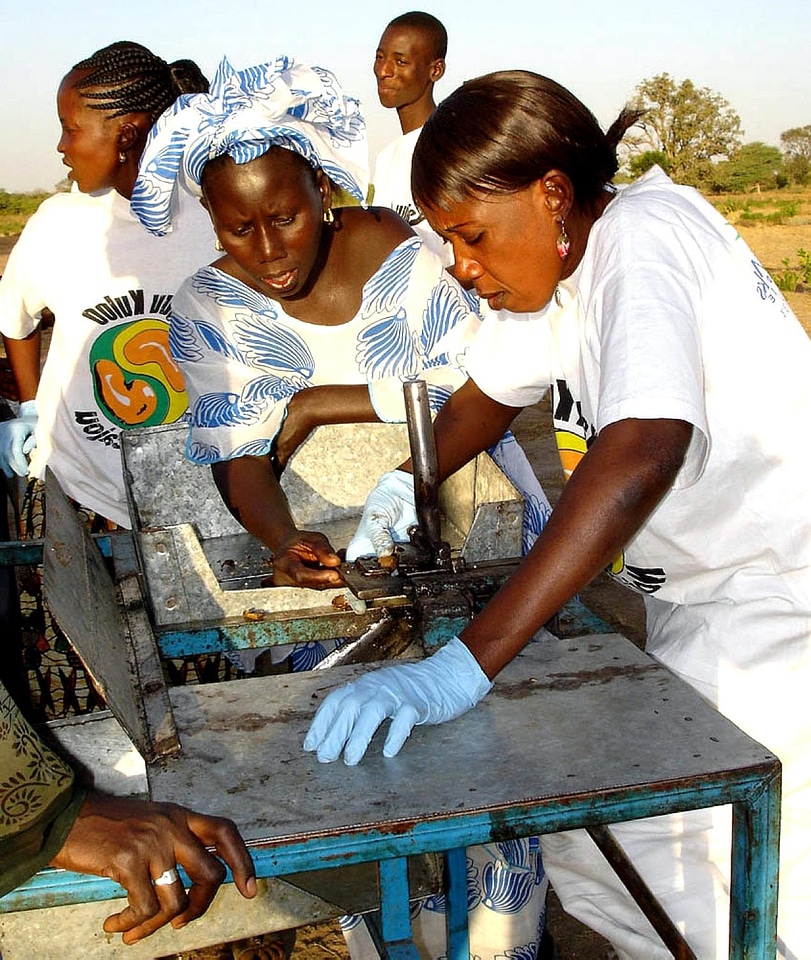 Local processing Senegal
