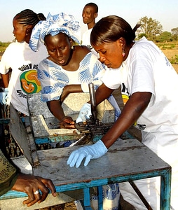 Local processing Senegal