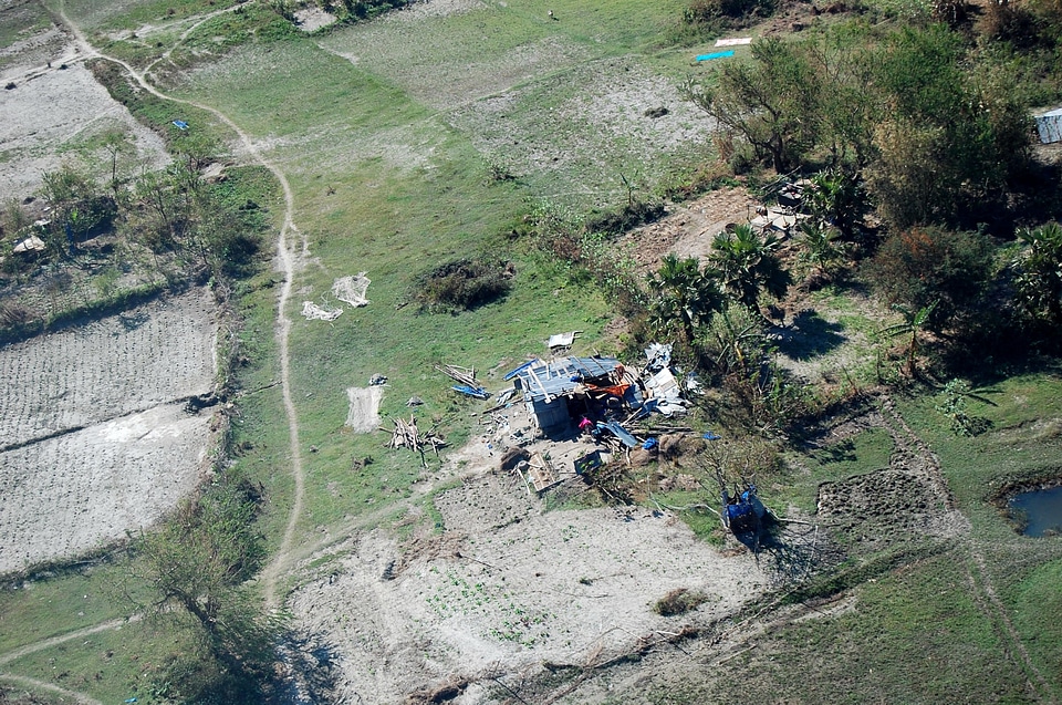 Cyclone ebony image