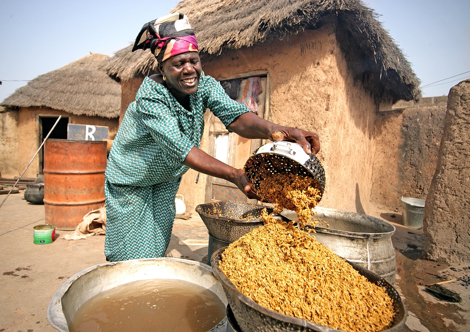 Ghana processing rice