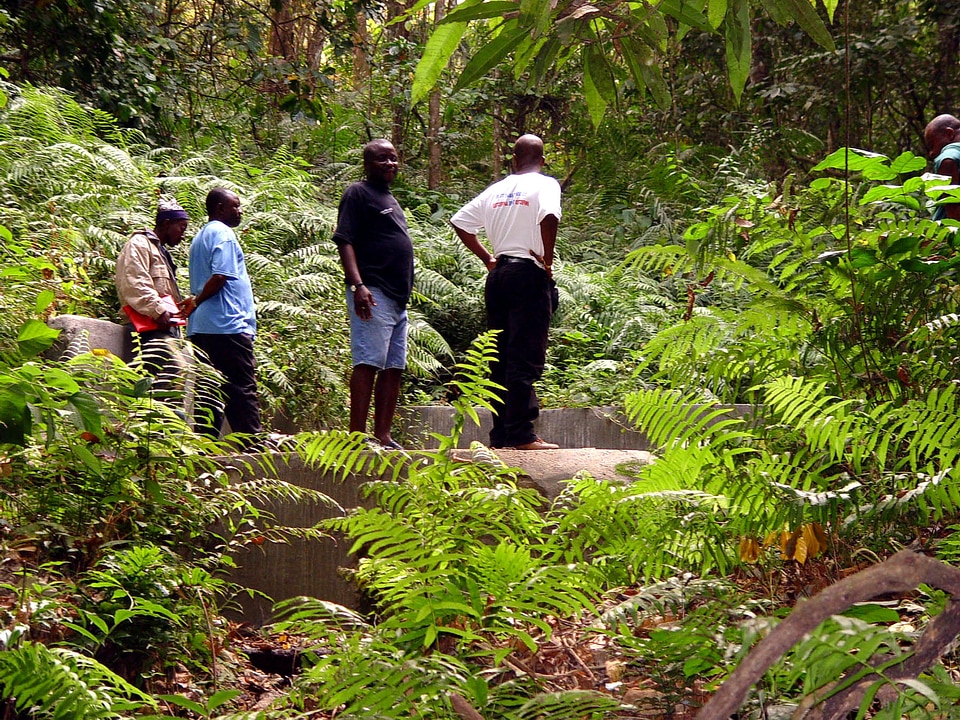 Africa important little