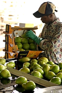 Construction Worker export packaging
