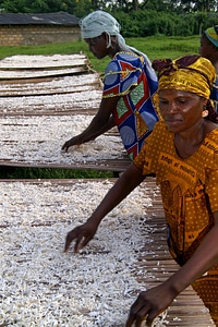 Cassava construction worker female photo
