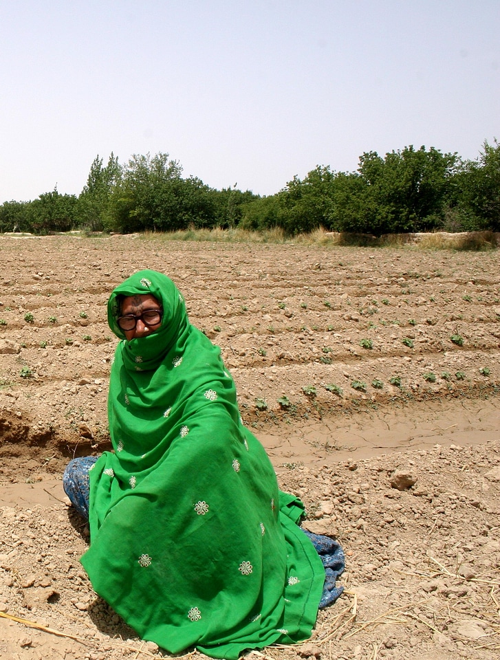 Agriculture array farming