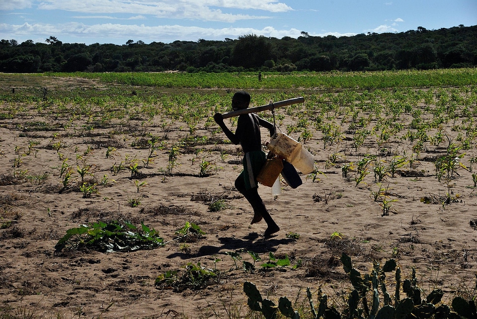 Agriculture drought farm