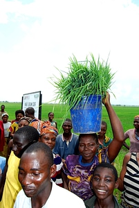 Economic Growth growth nigeria
