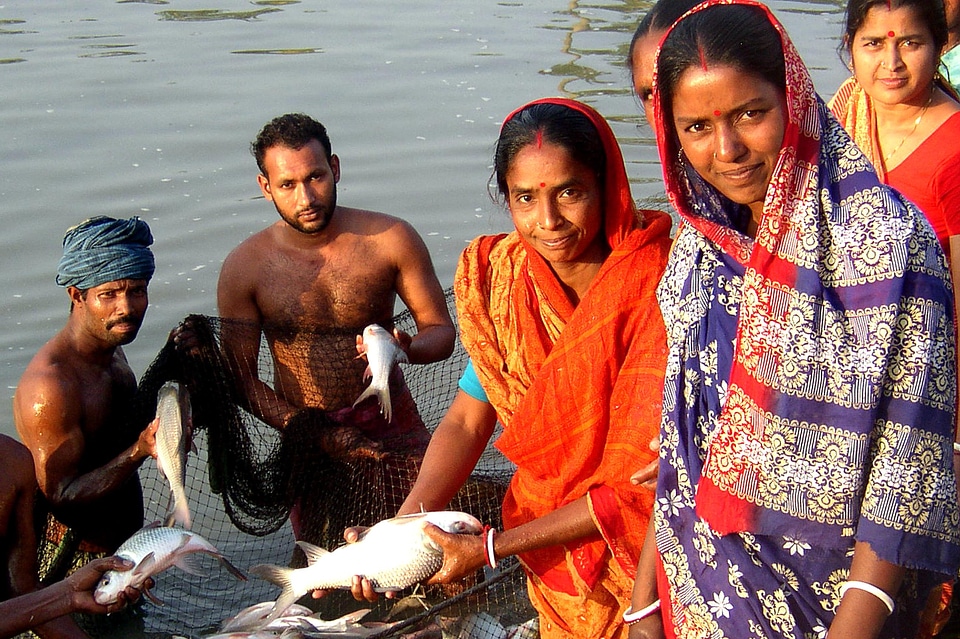 Bangladesh fish pond