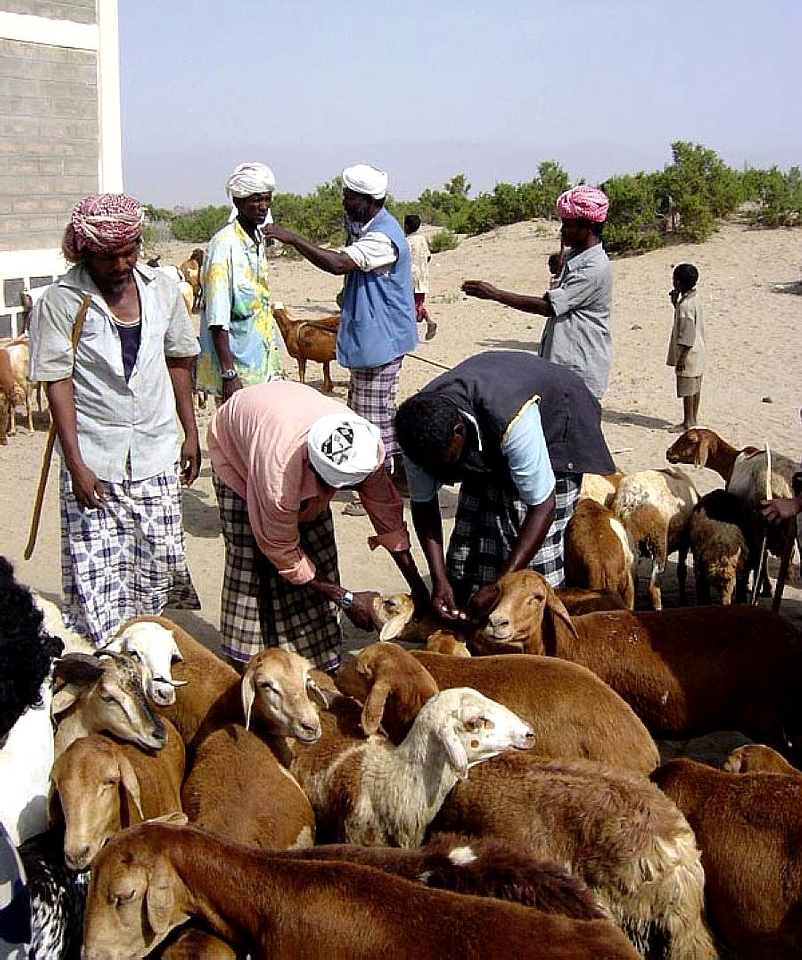 Array assist bovine
