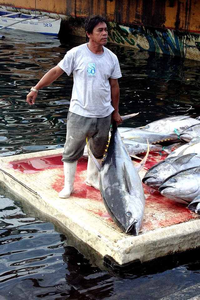Angler fisherman fisherman