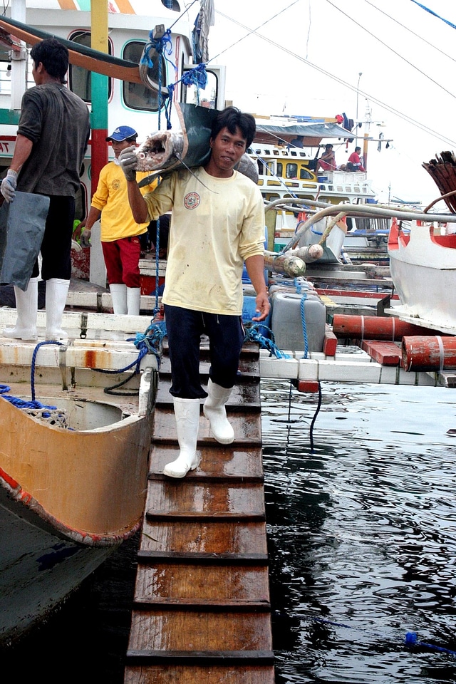 Basin boot fishery