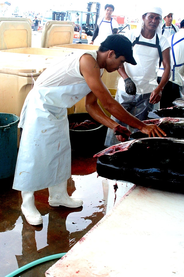 Complex fish harbor