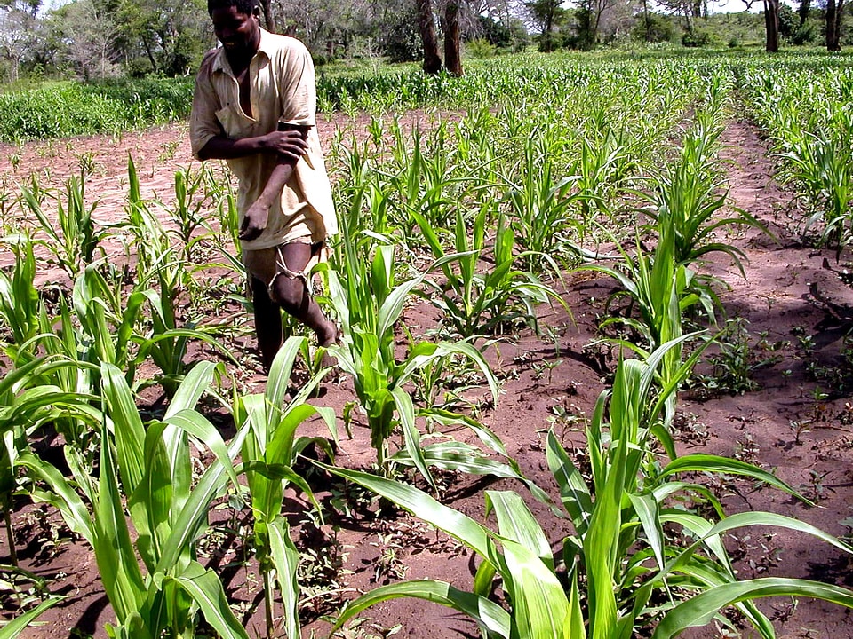 Drought province 