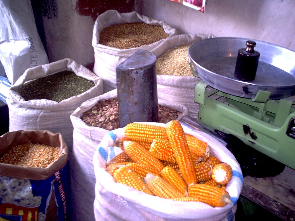 Corn other 