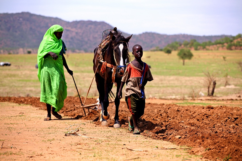 Bearing horse woman
