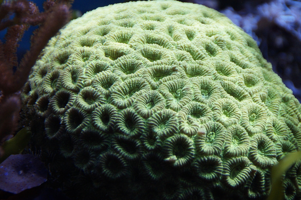 Underwater water structure