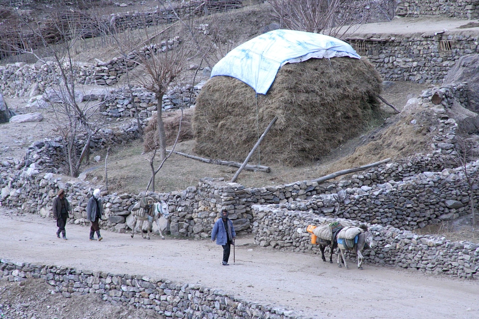 Afghanistan bearing carry
