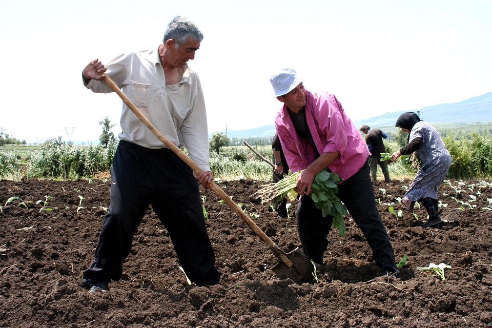 Assist crop production