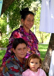 Genus grandmother mother