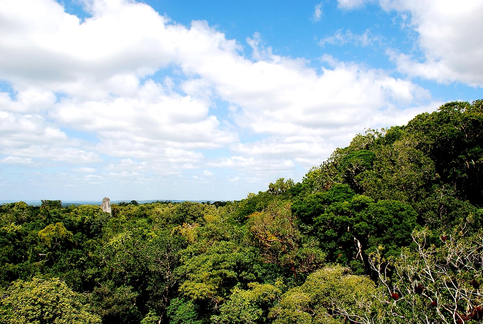 Biosphere government guatemalan