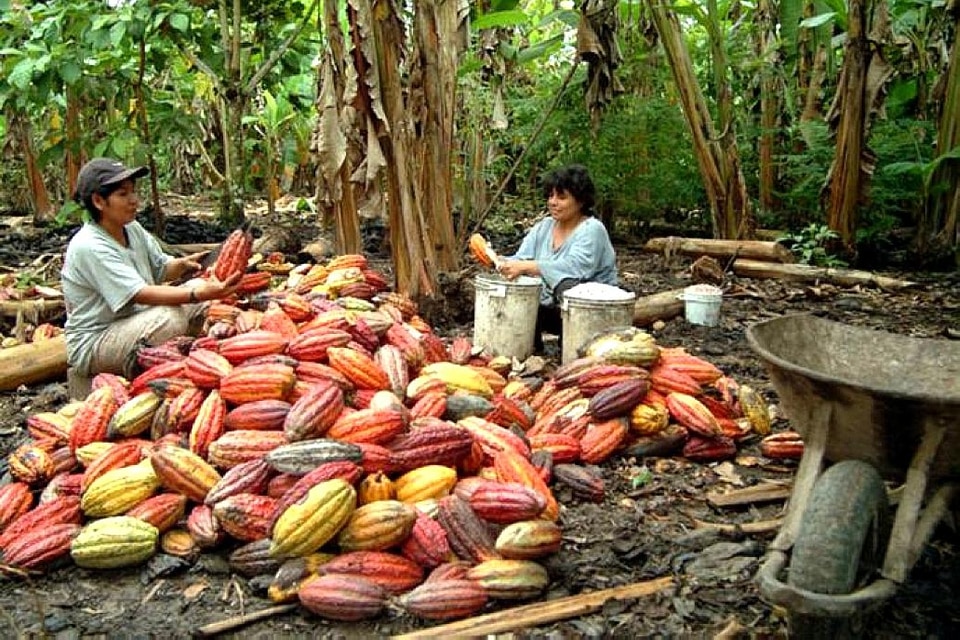 Former island Peru