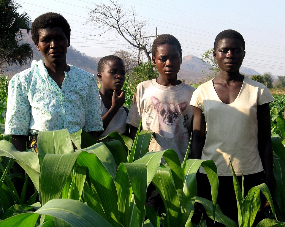Babies bearing Malawi